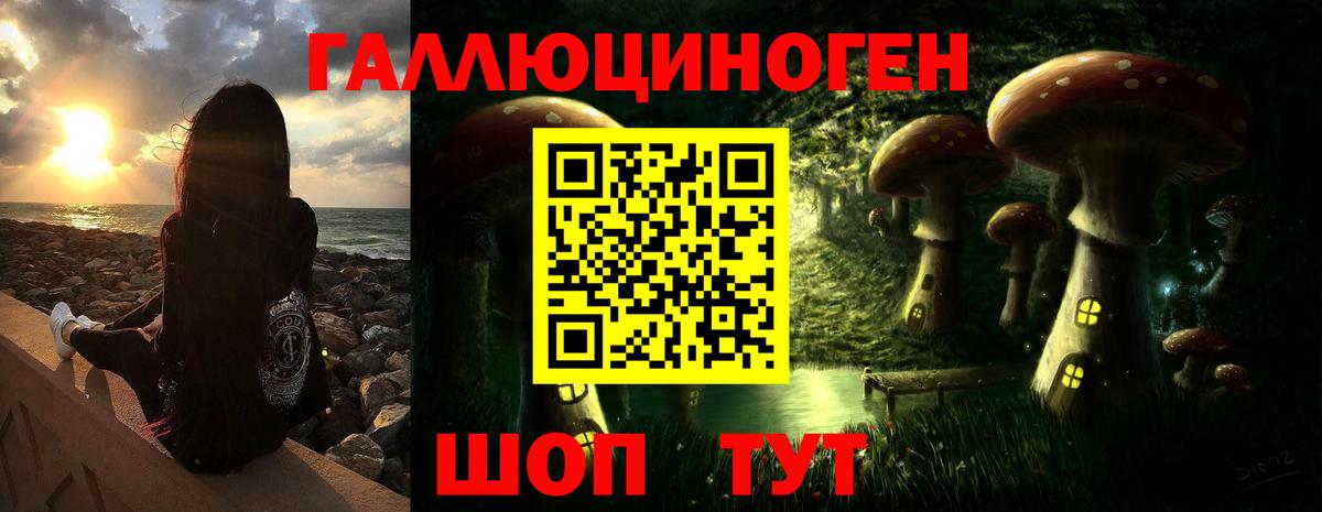 Галлюциногенные грибы Cubensis Кузнецк
