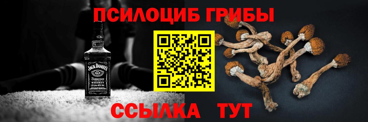 Галлюциногенные грибы MAGIC MUSHROOMS  Псилоцибиновые грибы мухоморы  Вход с VPN  купить закладку  Кузнецк 